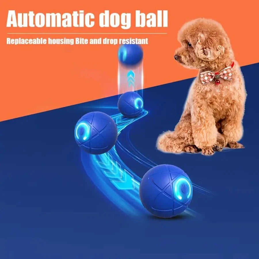 Interactive Rolling Ball Toy for Dogs & Cats