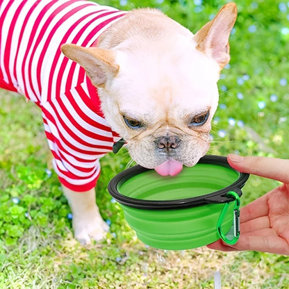 Portable Foldable Pet Food & Water Bowl