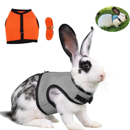 Rabbit Harness & Leash Set – Adjustable Walking Vest for Bunnies