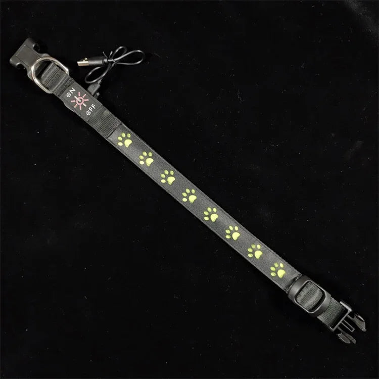 LED Light-Up Dog Collar & Leash Set