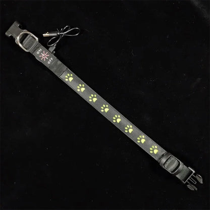 LED Light-Up Dog Collar & Leash Set