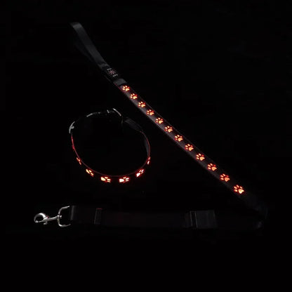 LED Light-Up Dog Collar & Leash Set