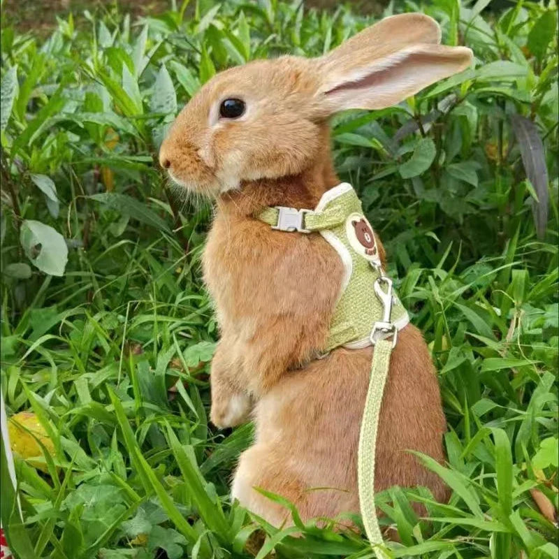Cute Handmade Rabbit Harness Set