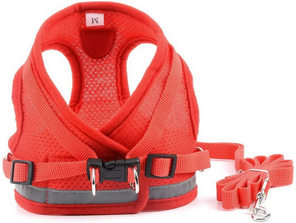 Reflective Cat & Small Dog Harness Set