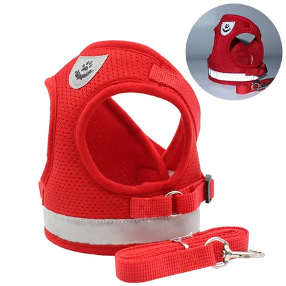 Reflective Cat & Small Dog Harness Set