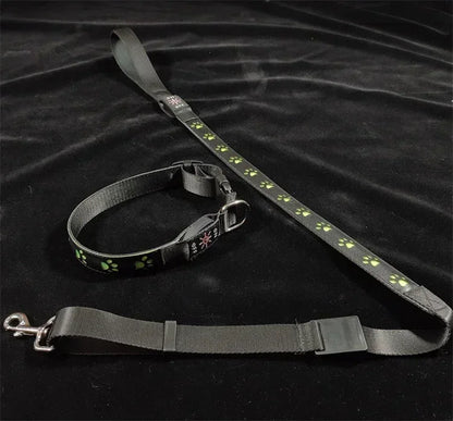 LED Light-Up Dog Collar & Leash Set