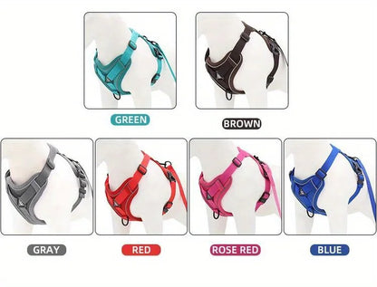 Dog Harness & Leash Set