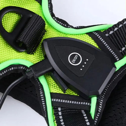 LED Reflective Dog Harness