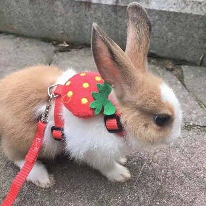 Cartoon Rabbit Harness Set
