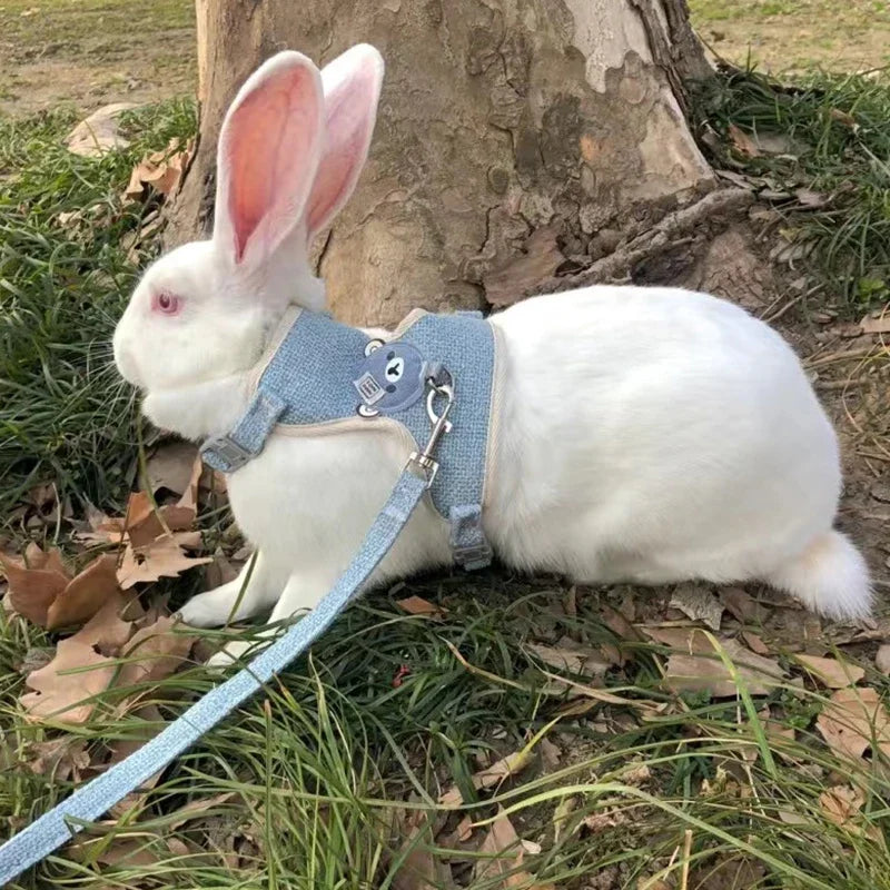 Cute Handmade Rabbit Harness Set