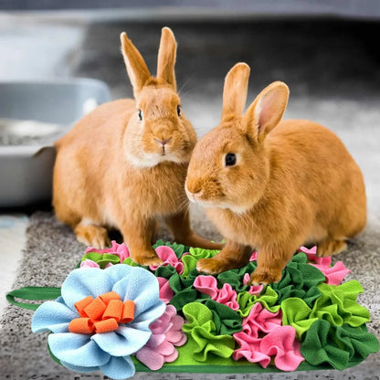 Interactive Floral Feeding Mat for Rabbits